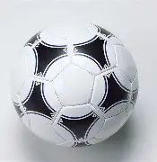 南美赛场阿,根廷后防核,心缺席风险,皇冠体育app下载,皇冠体育官网,澳门皇冠体育,bet皇冠体育在线